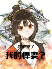 是谁穿了我的悍妻？！